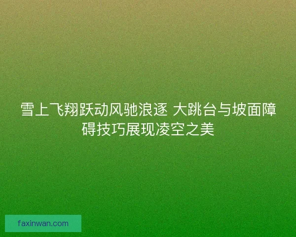 雪上飞翔跃动风驰浪逐 大跳台与坡面障碍技巧展现凌空之美